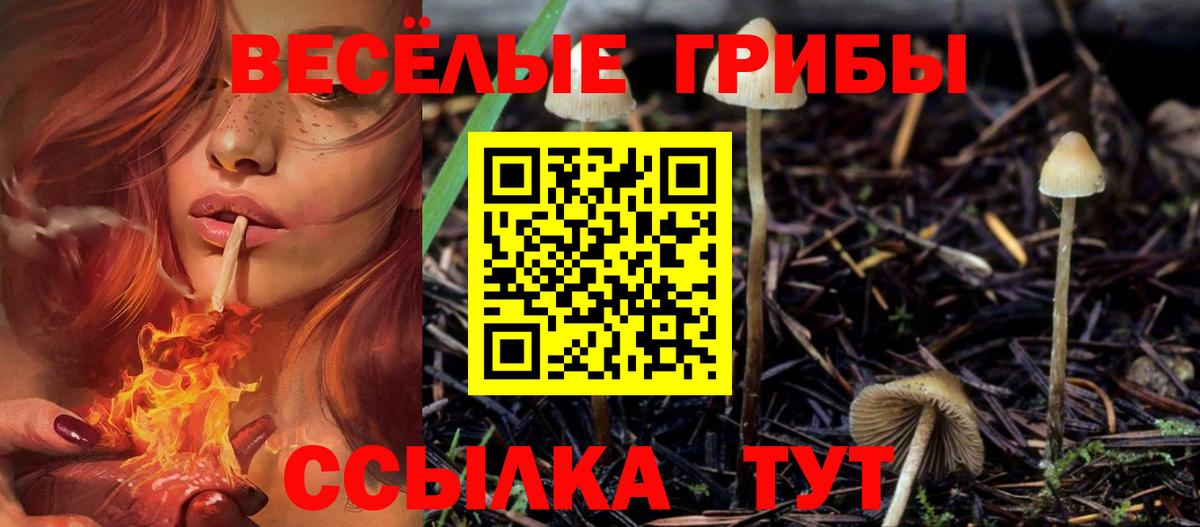 даркнет сайт  Галлюциногенные грибы GOLDEN TEACHER  Стрежевой  Вход с VPN  Галлюциногенные грибы Psilocybe 